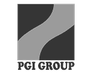 PGI Group Logo